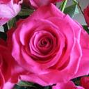 Janet Orton - @JO1948 - Twitter