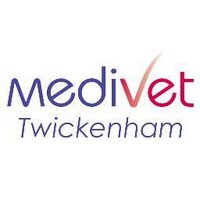 Medivet Twickenham (@medivettwickers) Twitter profile photo