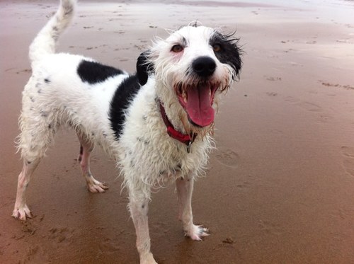 Chrisspence24's profile picture. Im a massive fan of eveything that is interesting to me!