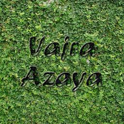 VajraAzaya's profile picture. We are a non-profit organization that builds intentional communities that incorporate permaculture design and sustainable development