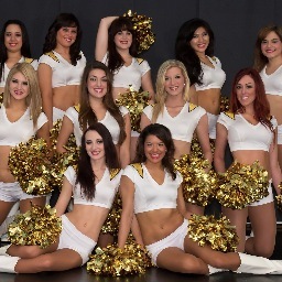 Professional Dance team for the Austin Vipers!