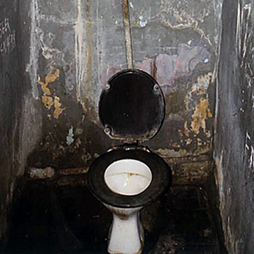 GrampianBogs's profile picture. A dirty sweaty bog situated in a polish minefield , near wales , we provide unworkable enviroments for foregin refugees from poland , romania & bangladesh