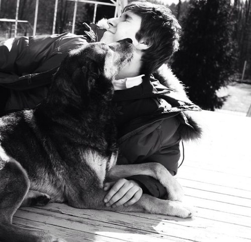 DmitryZhukov's profile picture. 