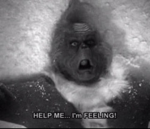 Soitsnotcoco's profile picture. I mean, why not?