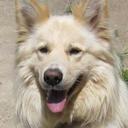 Alan Batchelor - @BatchelorAlan - Twitter