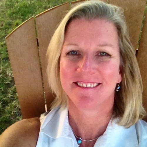 Executive Search Practice Leader at The Novak Consulting Group