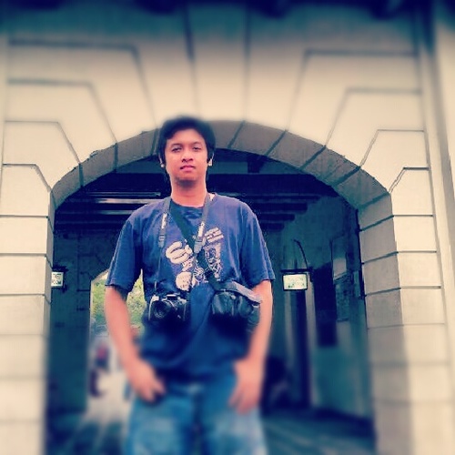 tontowiashari's profile picture. 