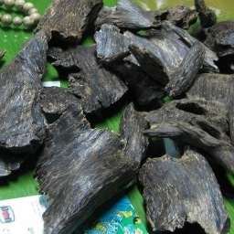 I am an Agarwood trader ,collector.Has been in the trade for more than 20 years.