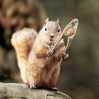 datn (@datn1117) 's Twitter Profile