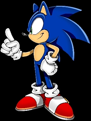 Hi Im Sonic, Sonic the hedgehog. Im the worlds fastest, and friendly hedgehog! Best friends: @Flying_Tails & @Darkness_lover_ #Taken by: @MaxieHedgie