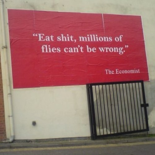 CapiMonkey123's profile picture. Politólogo en X, ignorante en la vida real.