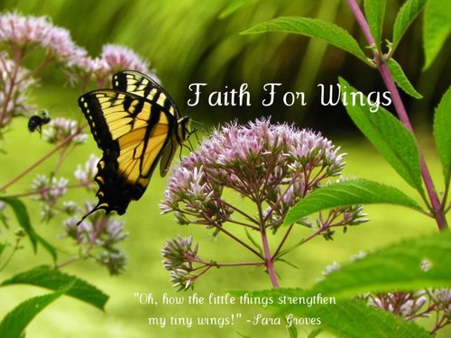 Faith4Wings's profile picture. Christ follower, stay-at-home wife and boy mom, self-taught crochet enthusiast, and new Virginian. Learning the ropes and trusting God for the rest!