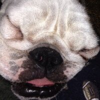 LMC (@lm2c) 's Twitter Profile