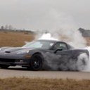 brandon schaffer - @lilanimal48 - Twitter