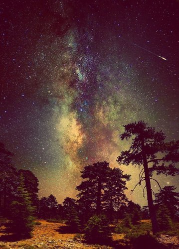 realtalkkfoshoo's profile picture. Food, love, drama, music, & sex. #RealTalk