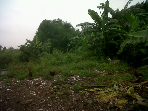 Tempat nongkrong orang-orang cabut. Dan pastinya tetep solid guys! |family of @SSF_ID