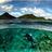 Marine Conservation