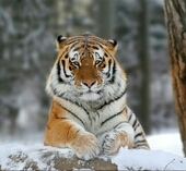 _MuHuH_'s profile picture. 