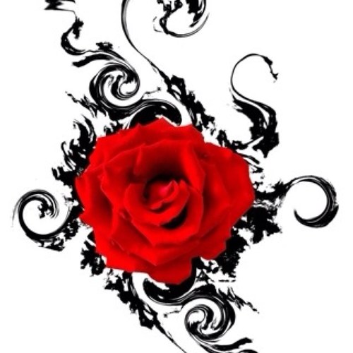 Renee_Hickey's profile picture. 