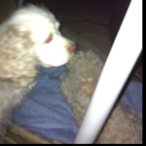 spencersc1's profile picture. 