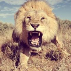 christi_cooke's profile picture. 