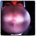 Harv (@notharvey) Twitter profile photo