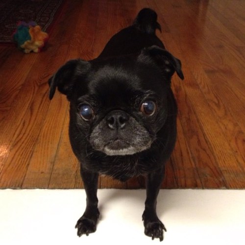 GoodyearDavid's profile picture. 