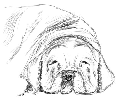 remacutetigisti's profile picture. 