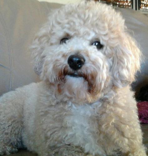 genemitchell52's profile picture. 