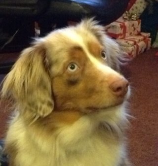 BirkZukowsky's profile picture. 