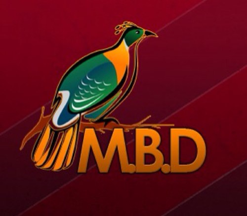 Website Design