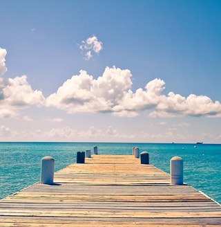 365DaysOfGrowth's profile picture. Join me on a journey that will change your life and my life forever. For 1 year I will make a suggestion each day to do or try something new