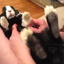 Mara McDermott - @rebelcaribou - Twitter