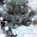 家族猫構成：ユーリ(八割れ)2023.11.23🌈
ちぃ(さび虎)2015/8🎂
てん(茶虎)2020/8🎂
キキ(茶虎)＆ララ(茶白)2023/2/22🎂
ぽて(クリーム)2023/9/5🎂
うに(黒虎)里親さんに迎えられました