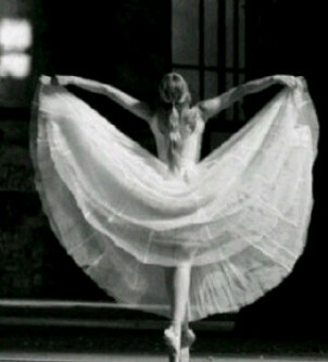 shahad0sh's profile picture. 