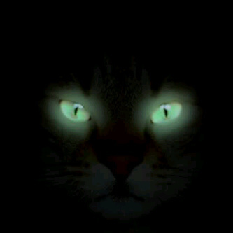 Angelgabriels84's profile picture. 