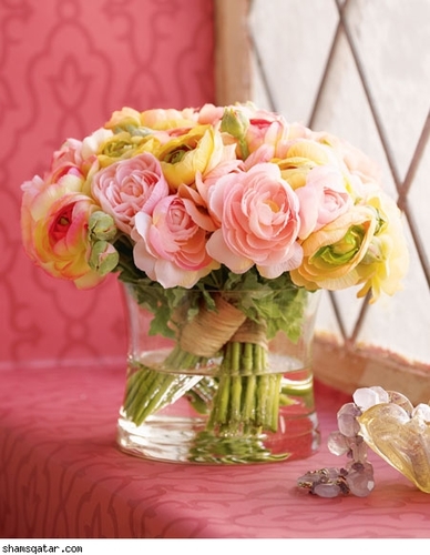 algore1974's profile picture. 