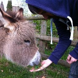 otmiv's profile picture. Digital Signal Processing and Music.