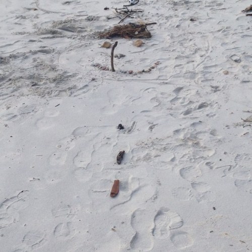 jmcgunn's profile picture. 