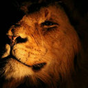 Arvin (@5885arvind) Twitter