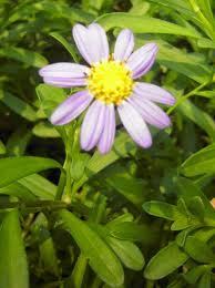 fargooenyarle's profile picture. ヱヴァ好きです。アニメも色々みてて、今は青のエクソシストにはまってます(｀^´) よければ、気軽にフォローください☆