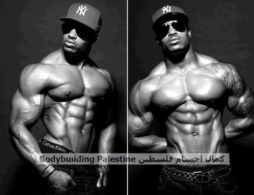 boodYii's profile picture. لرياضة اخلاق ! ما اجمل ان تكون أخلاقك وسيمة  وانت رياضي