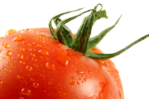 Tweeting fun and interesting facts about food!