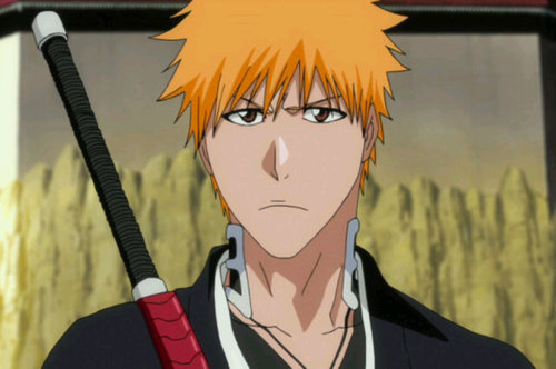 Human, Shinigami | Age 17 | Zanpakuto: Zangetsu | June 17 | Bankai: Tensa Zangetsu | Blood Type: A | #RPBleach