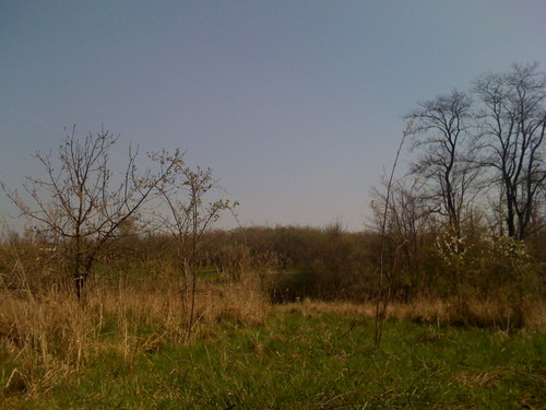 pauschaltourist's profile picture. 