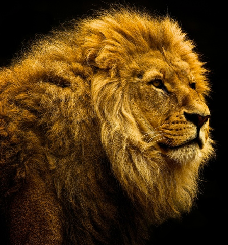 fefe_971's profile picture. 