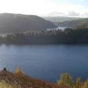 angie delaney - @angeladelaney35 - Twitter