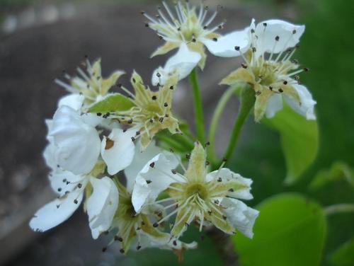 HealthDynamic's profile picture. 