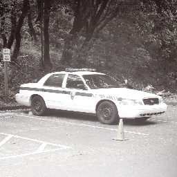 DipPFS's profile picture. 