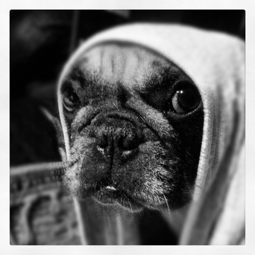 naigels13's profile picture. 